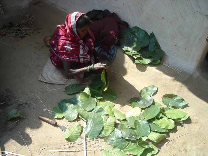 रायगढ़ जिले के ग्राम तिलगा में पत्तल-दोना बनाती महिला 